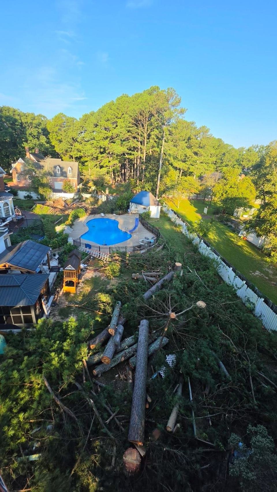 View from high in a tree of a backyard job with cut pine logs and branches on the ground